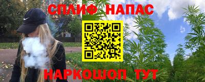 сатива Бердск