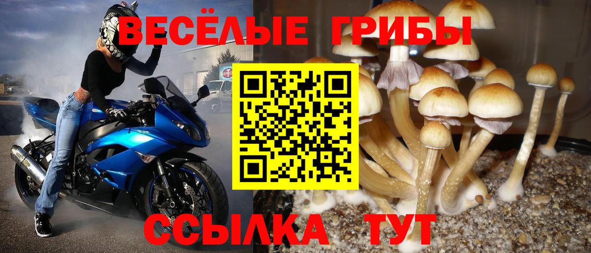 Псилоцибиновые грибы MAGIC MUSHROOMS Каменка