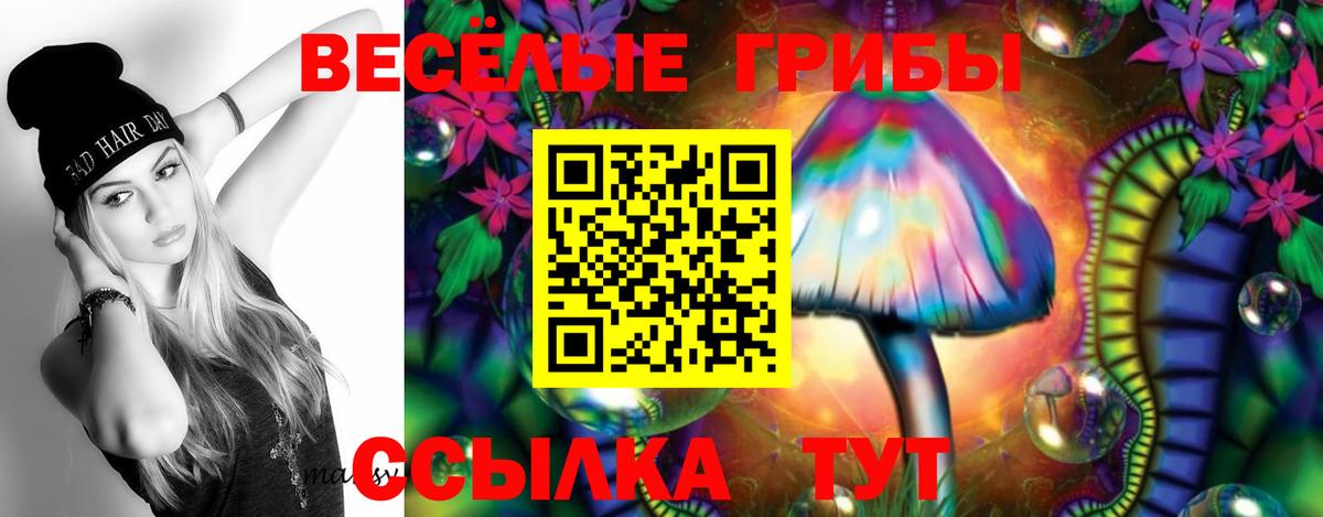 Каменка  купить  сайты  Вход с VPN  Галлюциногенные грибы GOLDEN TEACHER 